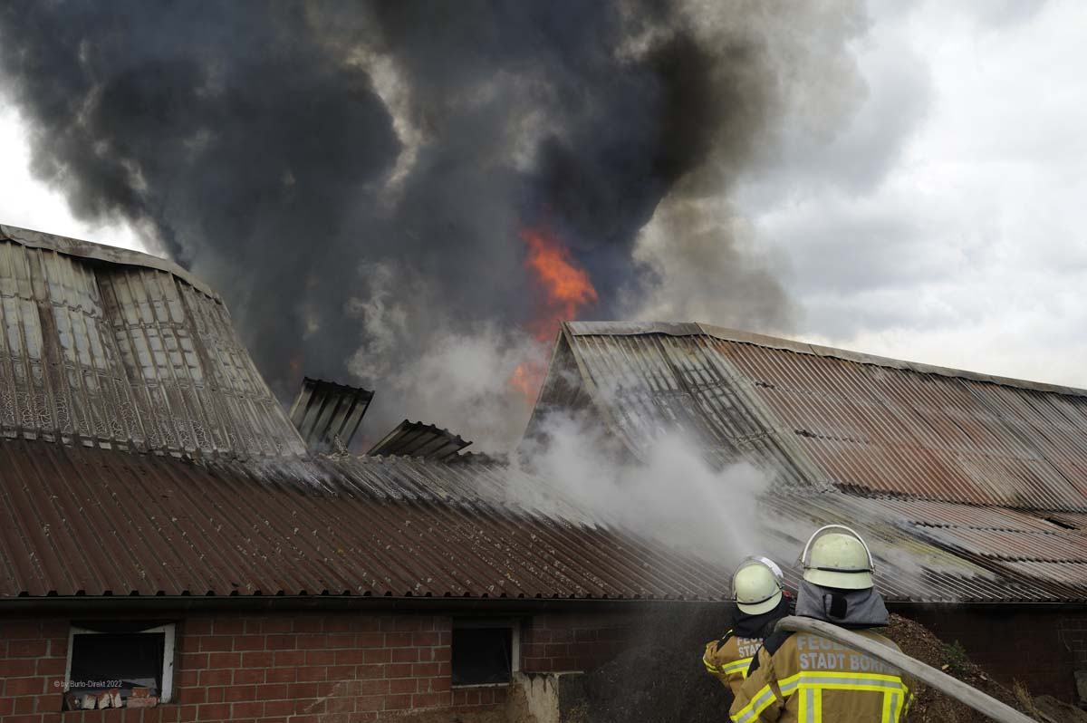 Brand einer Stallung in Borken-Hoxfeld - Foto: mhs