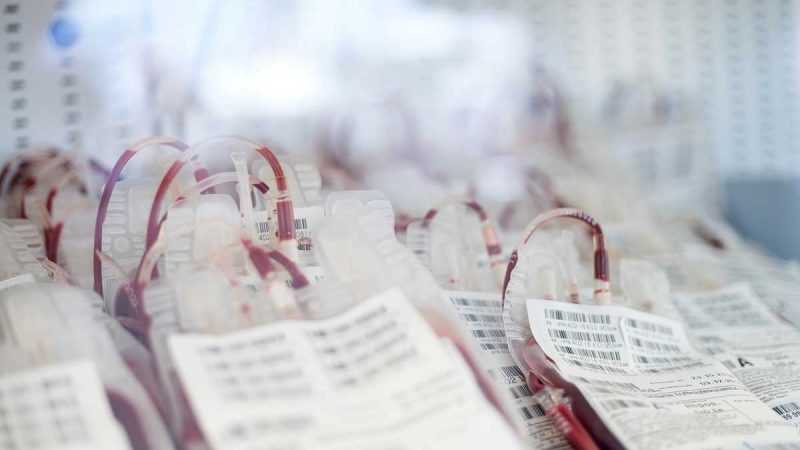 DRK Blutspendedienst ruft aur Spende am 3. April in Burlo auf