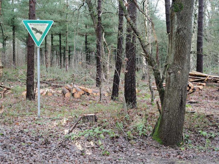 Naturschutzgebiet Burlo-Vardingholter Venn – Anreisende Besucher nehmen wenig Rücksicht auf Flora und Fauna