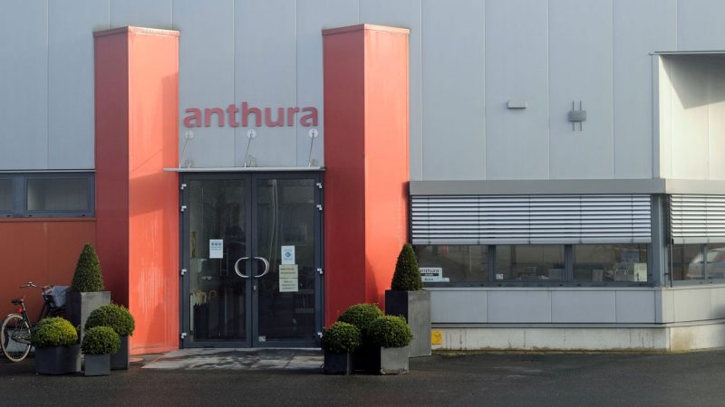 Orchideen aus Burlo – Anthura Arndt GmbH will Produktionsfläche erweitern
