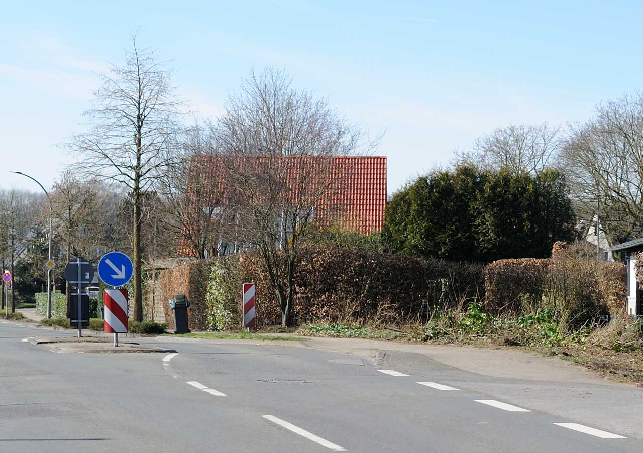 Burlo – Bäume für Baumaßnahme Dunkerstraße (K40)/Reckershardt gefällt