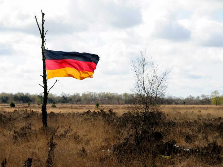 Welch ein Sumpf – Liste der Verfehlungen und Ausfälle deutscher Politiker wird zunehmend länger