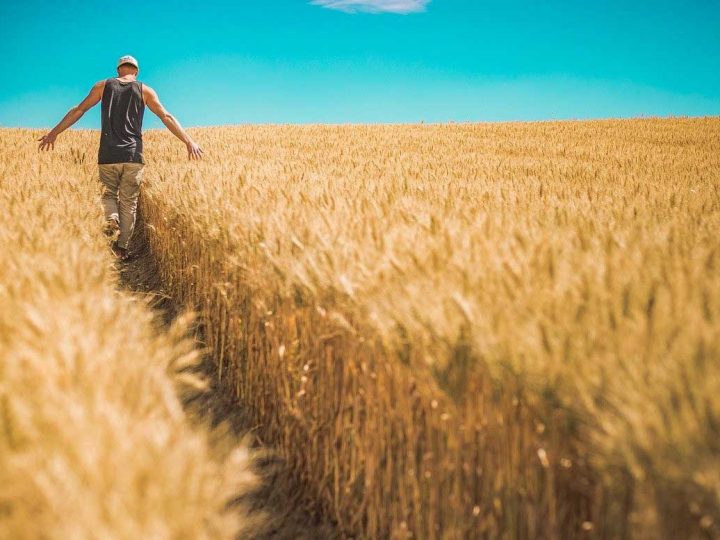 LEADER-Regionen | Ländlicher Raum soll weiter ausgebaut werden