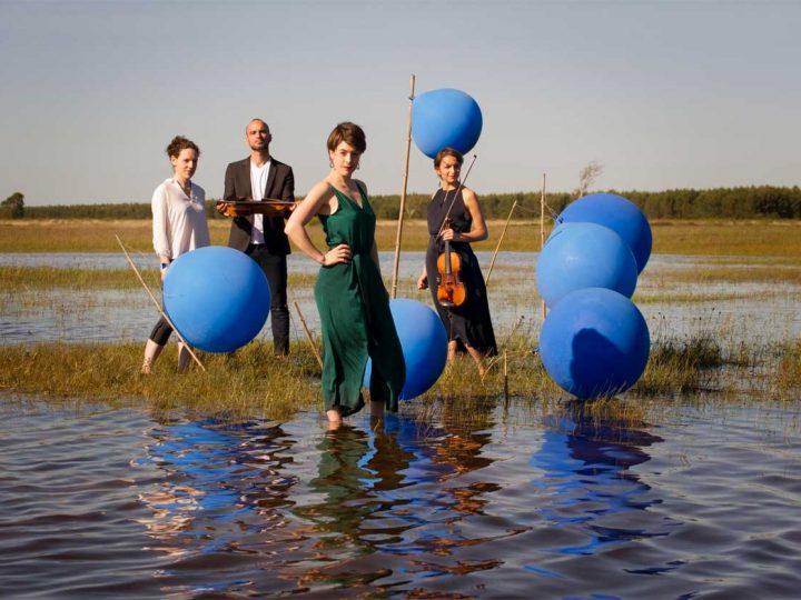 Fünf Quartett-Ensembles zeigen ihr musikalisches Können im Kreis Borken