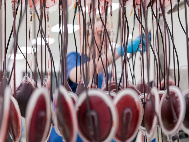 Rotes Kreuz ruft zur Blutspende in Weseke auf