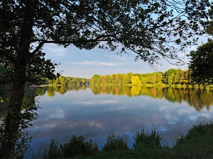 Blaualgen im Stau- und Landschaftssee Pröbsting