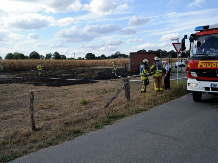 Gleich zwei Brandflächen mussten die Wehrleute am Schwarzen Weg löschen
