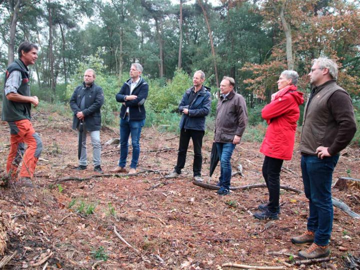 Burlo | Landrat Dr. Kai Zwicker stellt neues Waldprojekt vor