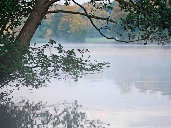 Letzte „Vier-Jahreszeiten-Klimaführung“ im Jahr 2022