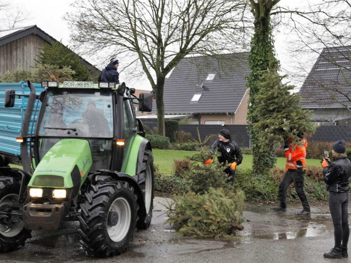 Ausgediente Weihnachtsbäume gegen Spende für guten Zweck abgeholt
