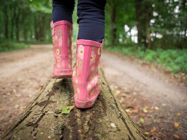 „Wir lauschen dem Ruf der Nachtvögel“ – abendliche Wanderung für Kinder