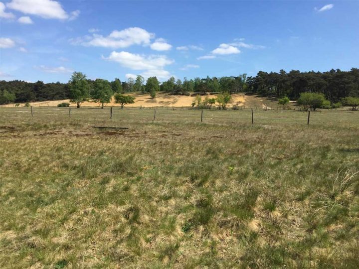 Wanderwegekonzept im Waldgebiet „Die Berge“