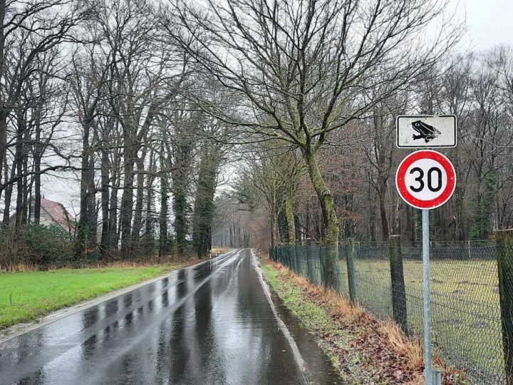 Amphibienwanderung – Vorübergehende  Geschwindigkeitsbeschränkung eingerichtet