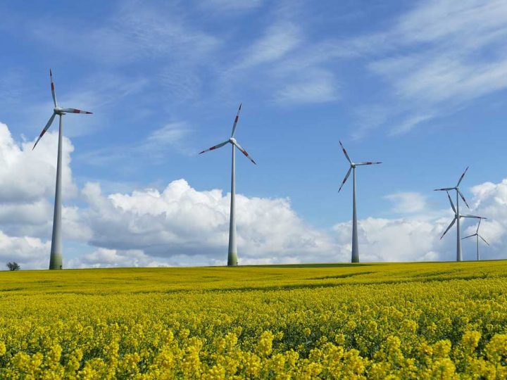 Erneuerbare Energie – Bau von 130 geplanten Windkraftanlagen auf der Kippe