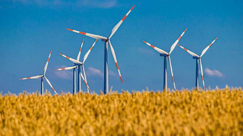 Leserschaft mit haarsträubender Geschichte über „Windpark in Burlo“ in den April geschickt