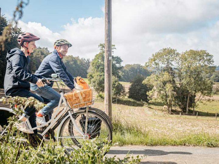Mit Tourguides unterwegs – Mitradeln auf der 4-Sterne-Friedensroute