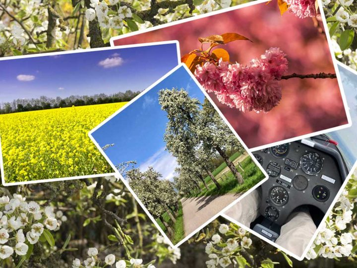 Frühlingsfoto 2023 – Wir sagen Danke für die Einsendungen