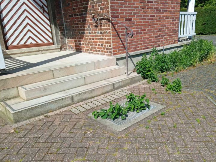 Burlo – Vernachlässigte Grünflächen rund um die St. Marien-Kirche sollen zeitnah gepflegt werden