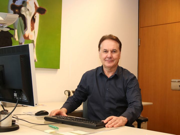 Tiere sollten vor Hitze geschützt werden und brauchen in der Urlaubszeit eine Betreuung