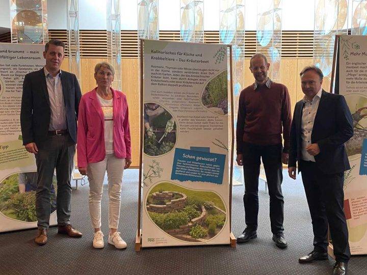 Ausstellung im Foyer des Borkener Kreishauses – „Vielfalt im Garten – Lebensräume für Insekten und Co.“