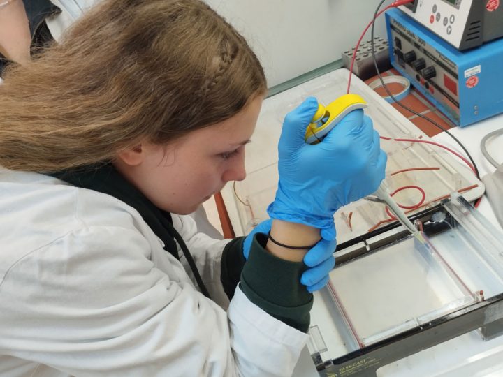 Der DNA auf der Spur – Burloer Schülerinnen und Schüler forschen an der Uni Münster
