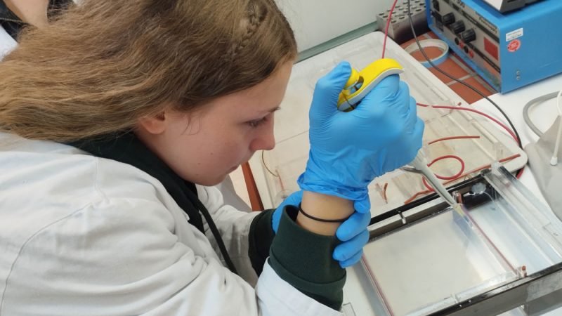 Der DNA auf der Spur – Burloer Schülerinnen und Schüler forschen an der Uni Münster