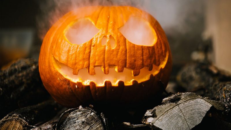 Süßes oder Saures – Wer zahlt, wenn Halloween-Streiche mal ins Auge gehen?