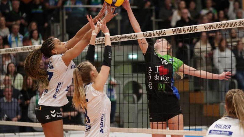 Skurios Volleys empfangen den ETV Hamburg und die Youngster vom VCO Dresden