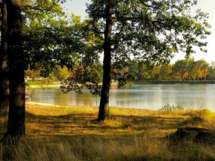 Ungetrübter Badespaß – Seen im Kreis Borken mit ausgezeichneter Wasserqualität bewertet