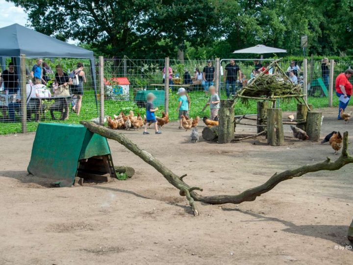 Sommerfest bei „Bertha & Friends e.V.“ in Burlo gut besucht