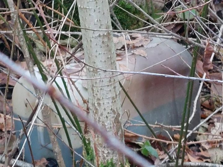 Unbekannter entsorgt Altölkanister in der Burloer Natur