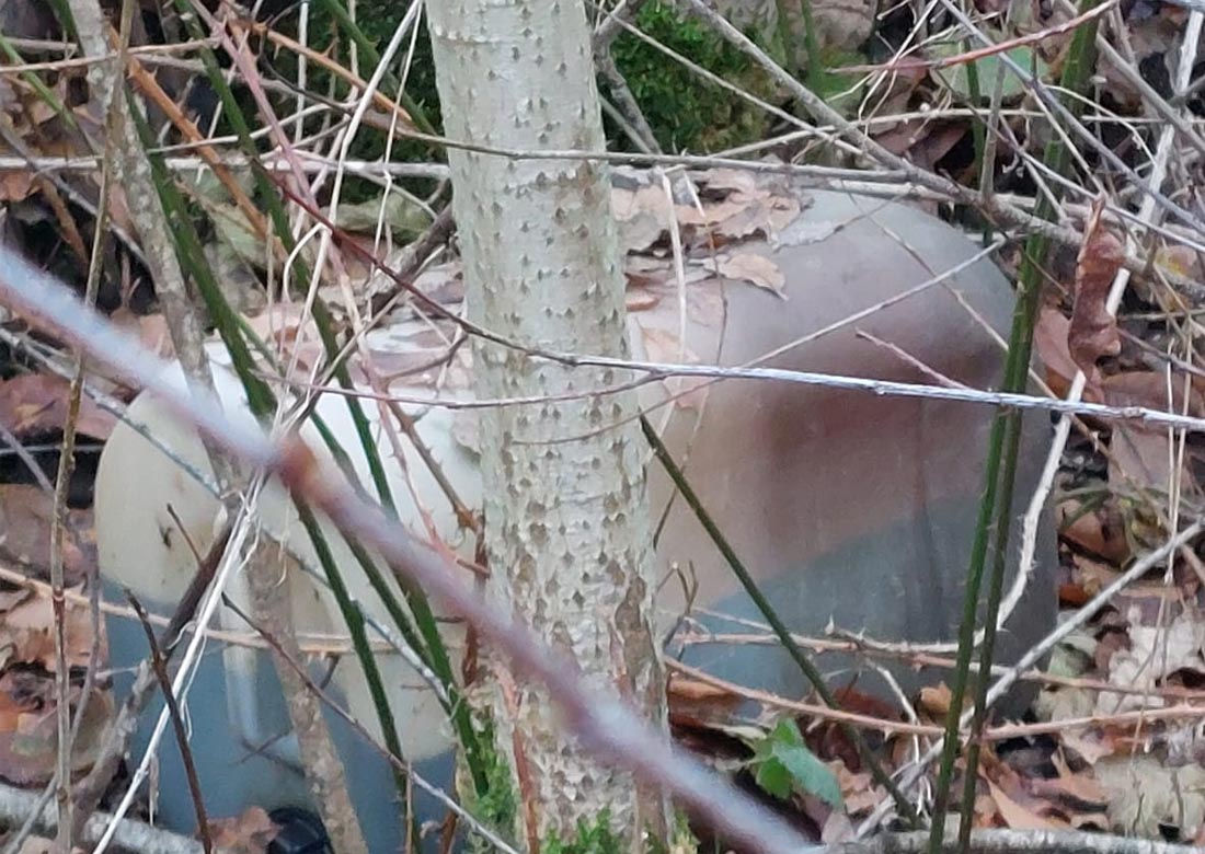 Unbekannter entsorgt Altölkanister in der Burloer Natur
