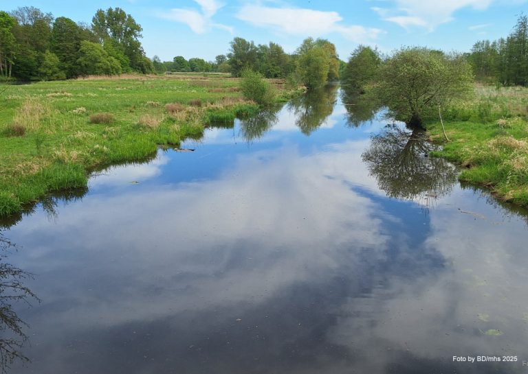 Wasserentnahme aus der Bocholter Aa und anderen Oberflächengewässern ist ab 04.07.2025 untersagt - Foto: BD/mhs