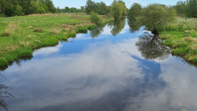 Wasserentnahme aus der Bocholter Aa und anderen Oberflächengewässern ist ab 04.07.2025 untersagt - Foto: BD/mhs