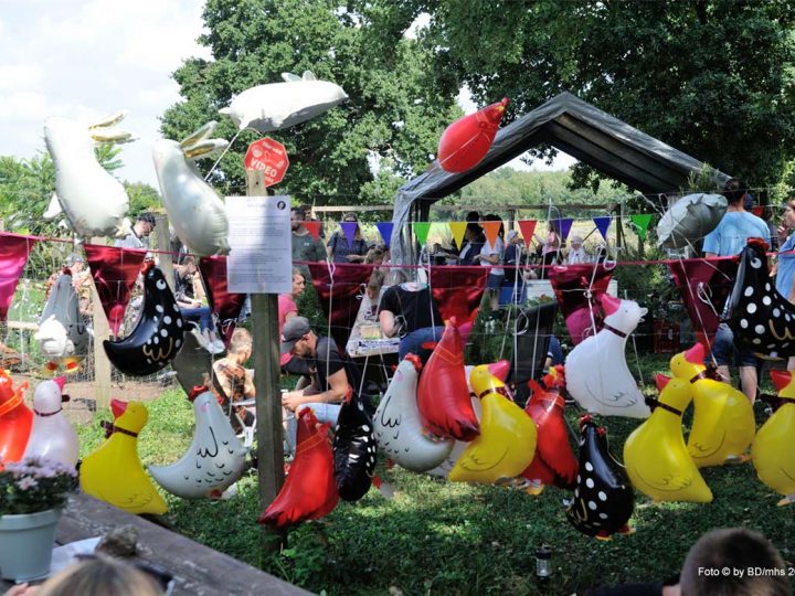 Sommerfest auf dem „kleinen Lebenshof“ Bertha & Friends e.V. in Burlo