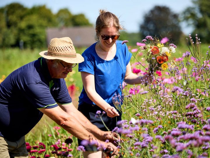Hinter den Hofkulissen im Münsterland: BioWochen NRW laden zu zahlreichen Veranstaltungen ein