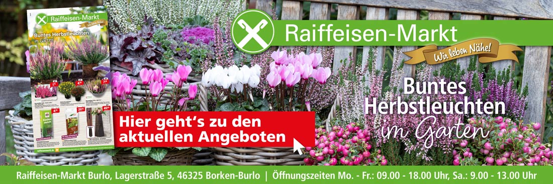 Angebot August 2025