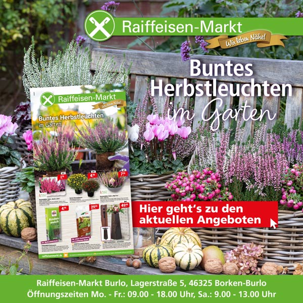 Angebot August 2025