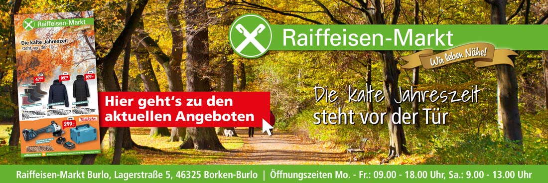 Angebot November 2025