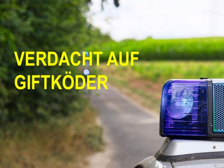 ACHTUNG – Verdacht auf Giftköder in Velen: Hund verstirbt nach Spaziergang