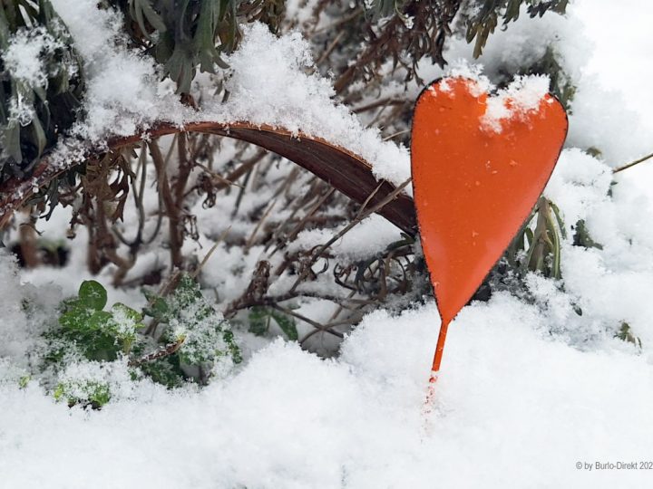 Mitmach-Aktion – Winter-Wonderland Burlo und Umgebung