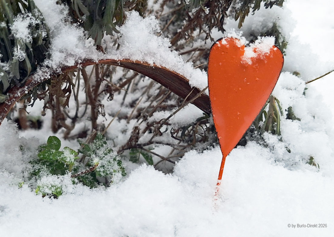 Mitmach-Aktion – Winter-Wonderland Burlo und Umgebung