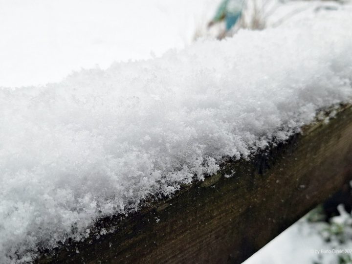 Foto-Aktion „Winter-Wonderland“ läuft noch bis einschließlich Sonntag