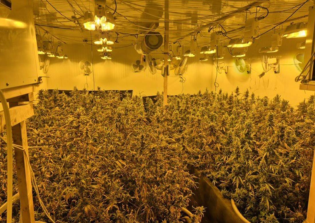 Plantage an der Königsstraße