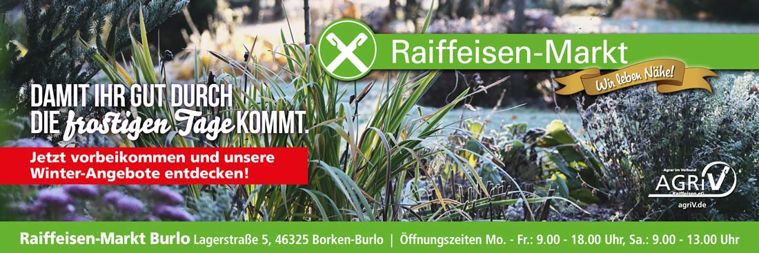 Angebote Februar 2026