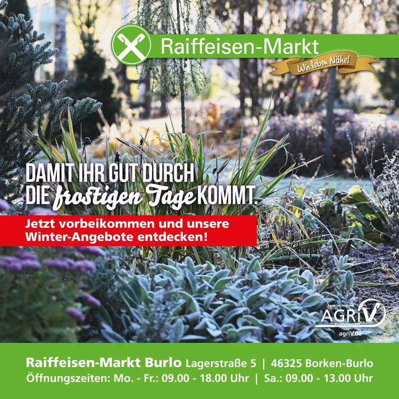 Angebote Februar 2026