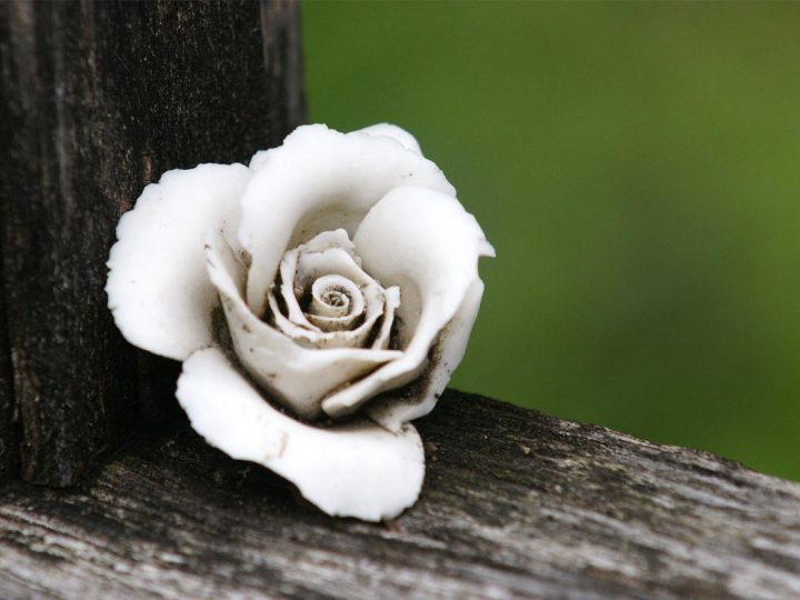 INFO – Burlo-Direkt-Redaktion bleibt bis einschließlich 15.03.2026 geschlossen