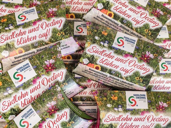 Gemeinde Südlohn verteilt kostenlose Blumensamen für Ihre Blühwiese