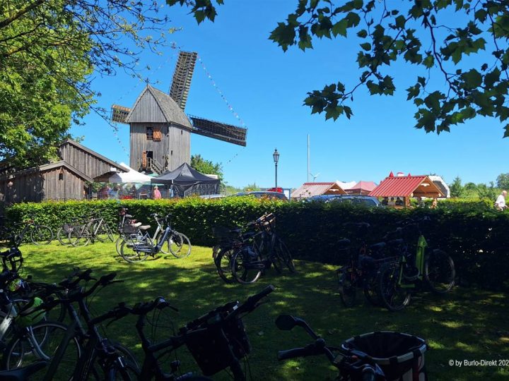 Gelände des Weseker Mühlenvereins zum Deutschen Mühlentag 2026 gut besucht