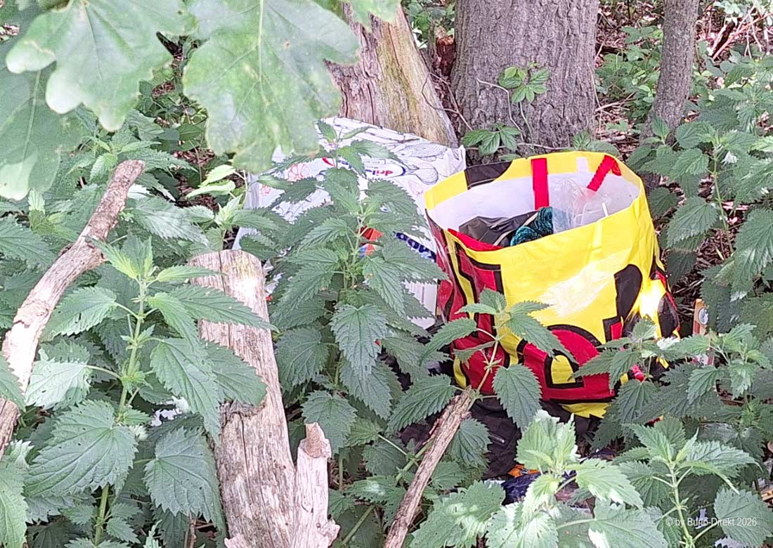 Unrat in größerer Menge entsorgten bislang unbekannte Täter am "Schaddenkämpchen" - Foto: BD/mhs